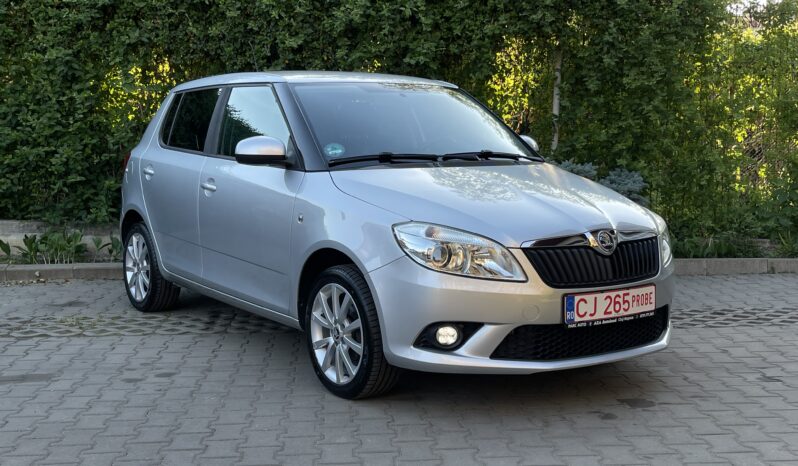 Skoda Fabia Best Of 1.2 TSI 2015 full