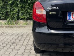 Skoda Fabia GreenLine 1.2 TDI 2014 full