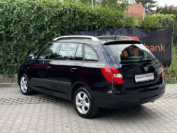 Skoda Fabia GreenLine 1.2 TDI 2011 full