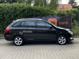 Skoda Fabia GreenLine 1.2 TDI 2011 full